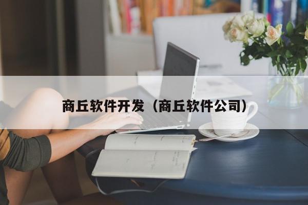 商丘軟件開發(fā)（商丘軟件公司）