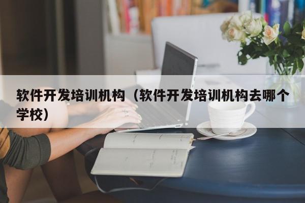 軟件開發(fā)培訓機構（軟件開發(fā)培訓機構去哪個學校）