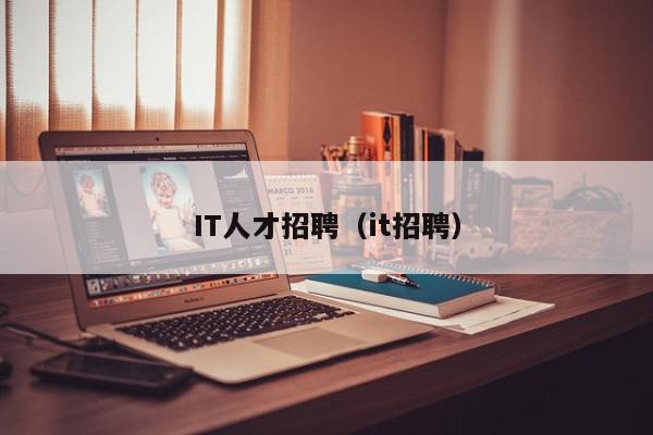 IT人才招聘（it招聘）