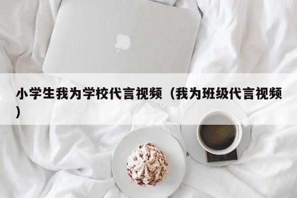 小學(xué)生我為學(xué)校代言視頻（我為班級代言視頻）