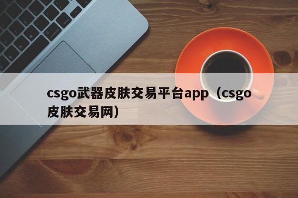 csgo武器皮膚交易平臺app（csgo皮膚交易網(wǎng)）