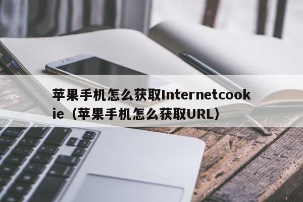 蘋果手機(jī)怎么獲取Internetcookie（蘋果手機(jī)怎么獲取URL）