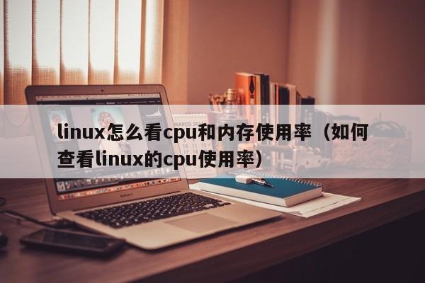 linux怎么看cpu和內(nèi)存使用率（如何查看linux的cpu使用率）